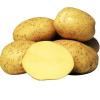 Картофель Ривьера,  10 кг